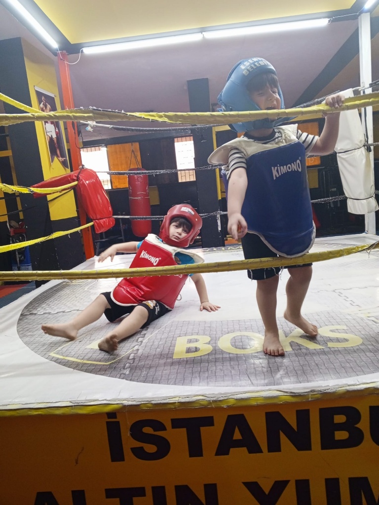 Geleceğin Boksorü