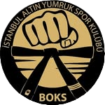 Altın Yumruk Logo